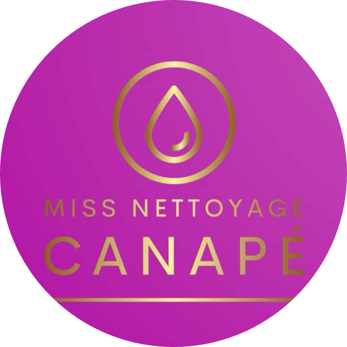 Miss nettoyage canapé